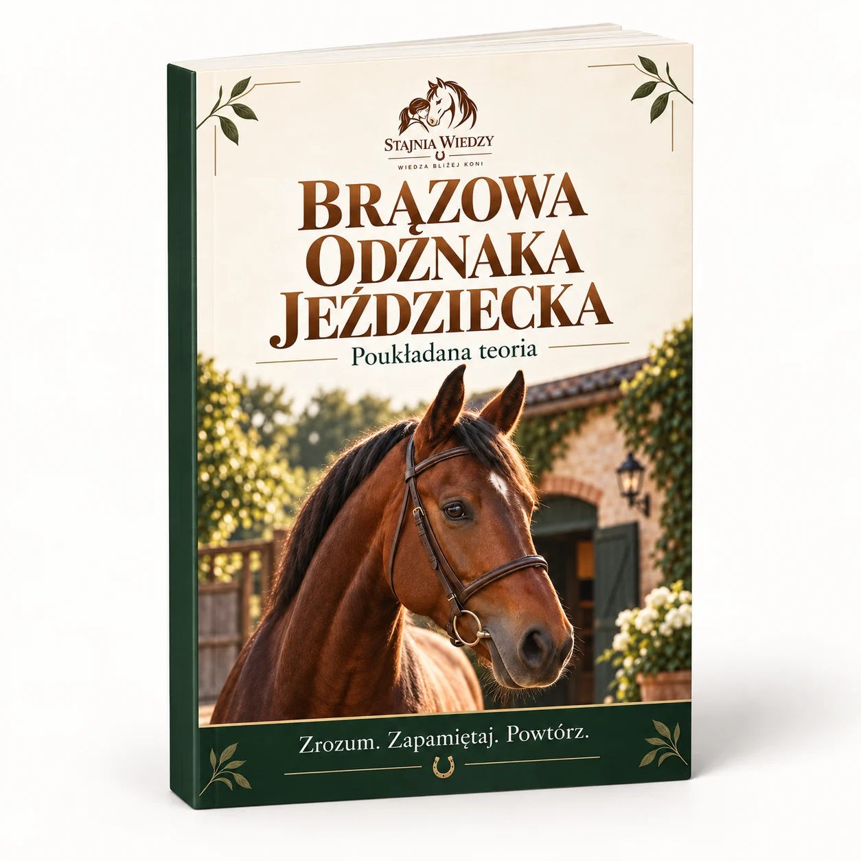 Brązowa odznaka jeździecka. Poukładana teoria — wizualizacja okładki książki